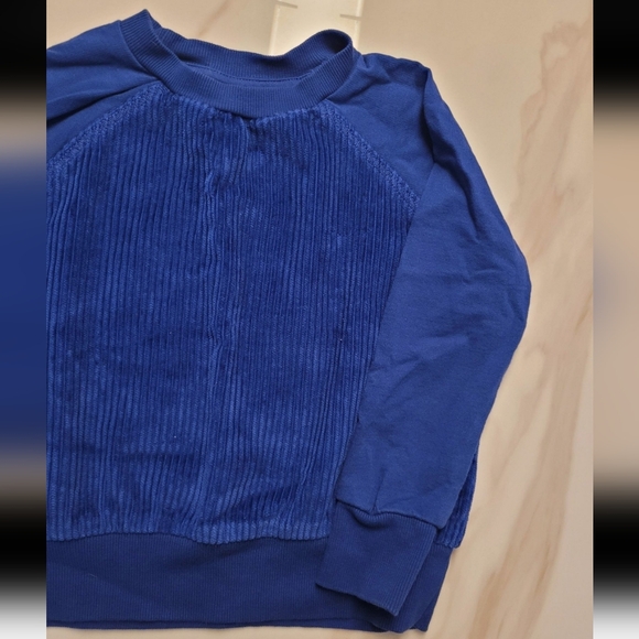 Blue Corduroy Crewneck Sweater - Picture 3 of 4